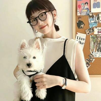 圣诞变身
