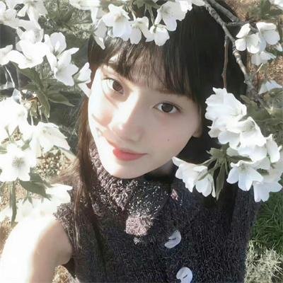 红蝎子之带泪梨花
